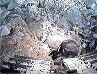 world trade center rubble, September 2001