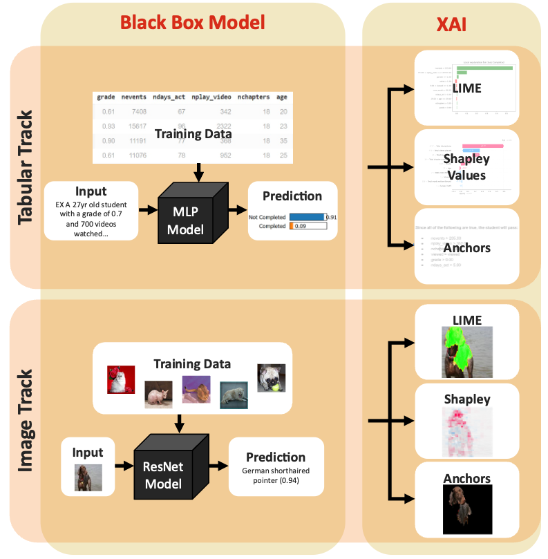 Project Overview Flowchart illustrating the similarity between the tabular and image track
