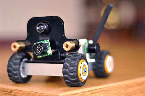 Looking out upon its domain.