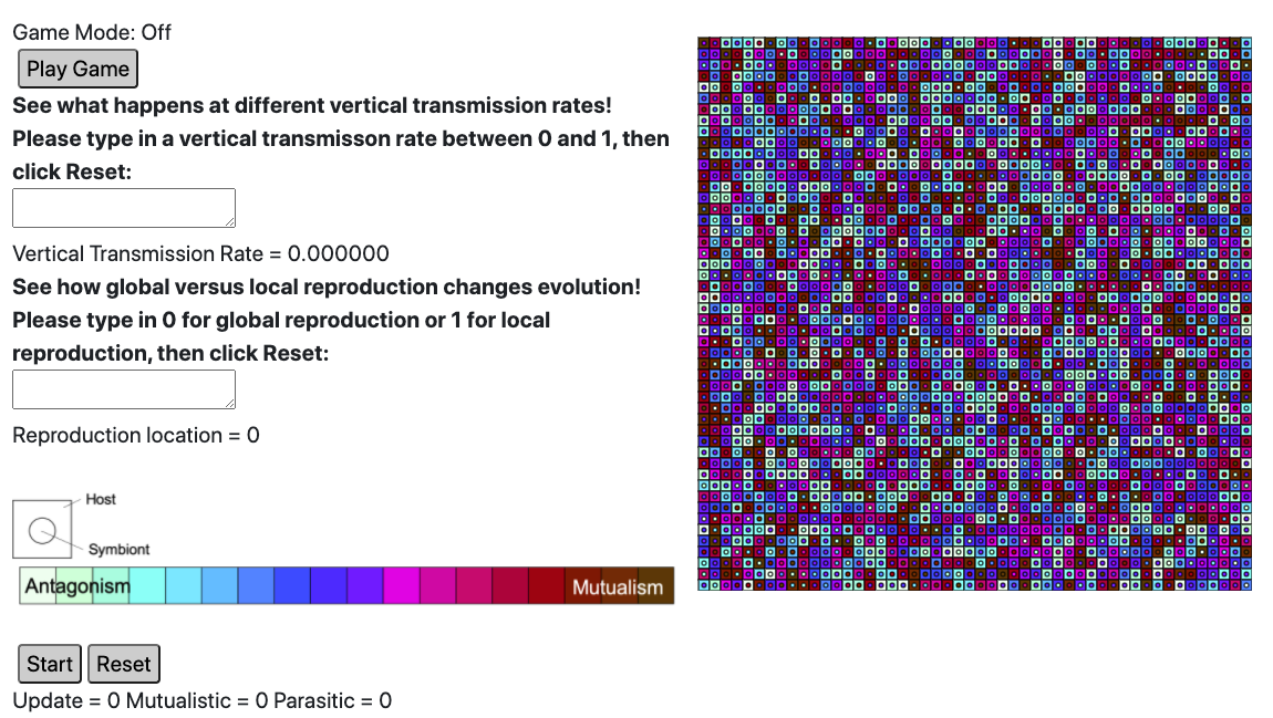 A screenshot of a GUI. On the left are several text boxes and options and on the right is a grid of squares with varying colors and circles of varying colors inside of them.
