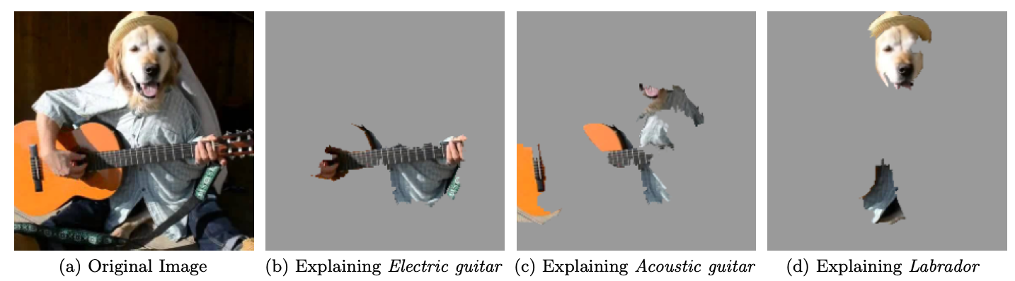 LIME explanations for an image
  classification