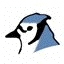 BlueJ