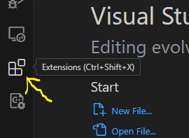 VS Code Extensions Icon