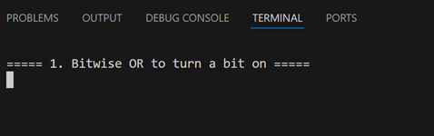 VS Code terminal while debugging