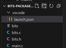 Explorer panel with new launch.json file