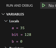 VS Code Variables panel